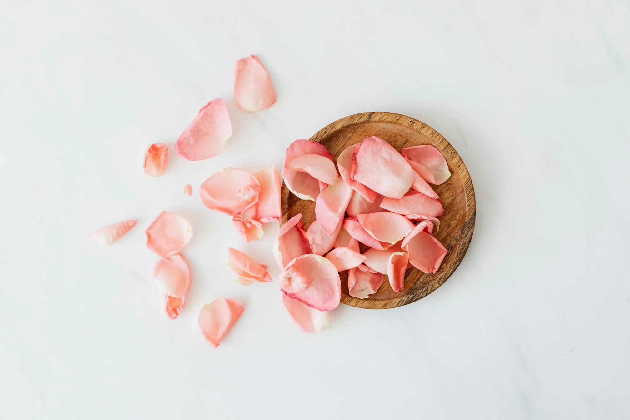 Rose petals in a bowl, for making rose water